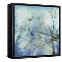 Moonlit Branches II-Jennifer Goldberger-Framed Stretched Canvas