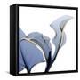 Moonlit Calla Lily-Albert Koetsier-Framed Stretched Canvas