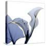 Moonlit Calla Lily-Albert Koetsier-Stretched Canvas