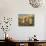 Moonlit Dance-Judy Mastrangelo-Giclee Print displayed on a wall
