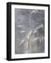 Moonlit Dream I-Eva Bane-Framed Photographic Print