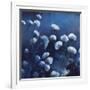 Moonlit Flowers-Tim O'toole-Framed Giclee Print