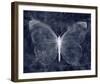 Moonlit Flutter I-Belle Poesia-Framed Giclee Print