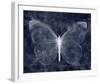 Moonlit Flutter I-Belle Poesia-Framed Giclee Print