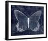 Moonlit Flutter II-Belle Poesia-Framed Giclee Print