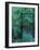 Moonlit Garden, 2014-Julie Held-Framed Giclee Print