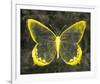 Moonlit Glow II-Belle Poesia-Framed Giclee Print