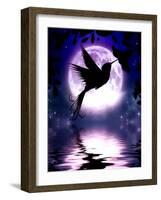 Moonlit Hummingbird-Julie Fain-Framed Art Print