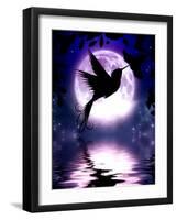 Moonlit Hummingbird-Julie Fain-Framed Art Print