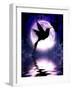 Moonlit Hummingbird-Julie Fain-Framed Art Print