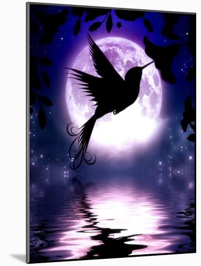 Moonlit Hummingbird-Julie Fain-Mounted Art Print