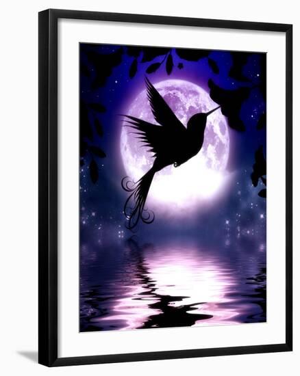 Moonlit Hummingbird-Julie Fain-Framed Art Print