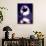 Moonlit Hummingbird-Julie Fain-Mounted Art Print displayed on a wall