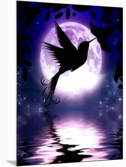 Moonlit Hummingbird-Julie Fain-Mounted Art Print