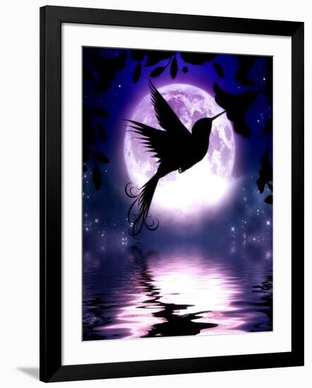 Moonlit Hummingbird-Julie Fain-Framed Art Print