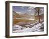 Moonlit Lake-Ivan Fedorovich Choultse-Framed Giclee Print