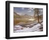 Moonlit Lake-Ivan Fedorovich Choultse-Framed Giclee Print