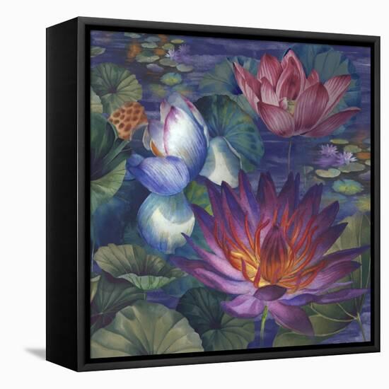 Moonlit Lily Pond-Bill Jackson-Framed Stretched Canvas