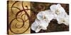 Moonlit Orchids-Keith Mallett-Stretched Canvas