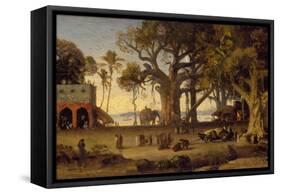 Moonlit Scene of Indian Figures and Elephants Among Banyan Trees, Upper India (Probably Lucknow)-Johann Zoffany-Framed Stretched Canvas