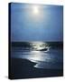 Moonlit Seas-Pete Kelly-Stretched Canvas
