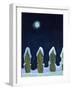 Moonlit Snowy Fence, 1970s-George Adamson-Framed Giclee Print