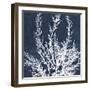 Moonlit Tangle - Java-The Drammis Collection-Framed Giclee Print