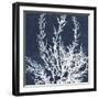 Moonlit Tangle - Java-The Drammis Collection-Framed Giclee Print