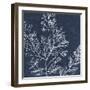 Moonlit Tangle - Natuna-The Drammis Collection-Framed Giclee Print