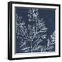 Moonlit Tangle - Natuna-The Drammis Collection-Framed Giclee Print