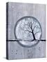 Moonlit Tree 1-Doris Charest-Stretched Canvas