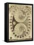 Moonphases-Vintage Apple Collection-Framed Stretched Canvas