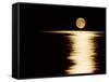 Moonrise, Haro Strait Vancouver-David Nunuk-Framed Stretched Canvas
