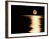 Moonrise, Haro Strait Vancouver-David Nunuk-Framed Photographic Print
