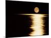 Moonrise, Haro Strait Vancouver-David Nunuk-Mounted Photographic Print