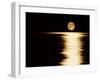 Moonrise, Haro Strait Vancouver-David Nunuk-Framed Photographic Print