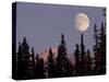 Moonrise in Early Winter, Chugach Range, Alaska, USA-Paul Souders-Stretched Canvas