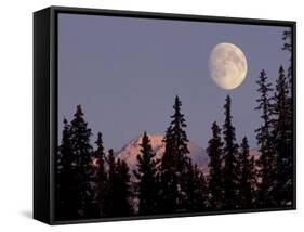 Moonrise in Early Winter, Chugach Range, Alaska, USA-Paul Souders-Framed Stretched Canvas