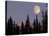 Moonrise in Early Winter, Chugach Range, Alaska, USA-Paul Souders-Stretched Canvas