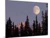 Moonrise in Early Winter, Chugach Range, Alaska, USA-Paul Souders-Mounted Photographic Print