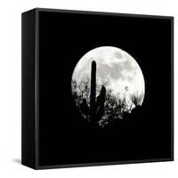 Moonrise in May I-Douglas Taylor-Framed Stretched Canvas