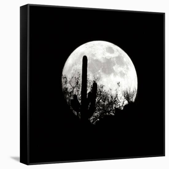 Moonrise in May I-Douglas Taylor-Framed Stretched Canvas