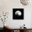 Moonrise in May I-Douglas Taylor-Photographic Print displayed on a wall
