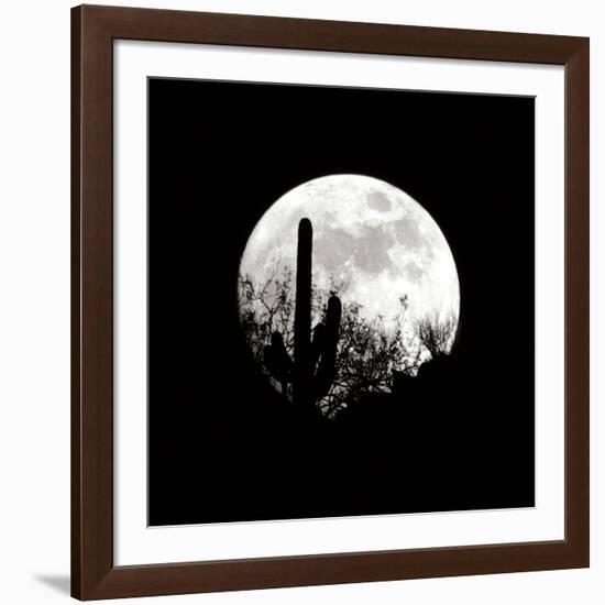 Moonrise in May I-Douglas Taylor-Framed Photographic Print