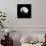 Moonrise in May I-Douglas Taylor-Photographic Print displayed on a wall