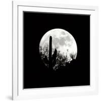 Moonrise in May I-Douglas Taylor-Framed Photographic Print