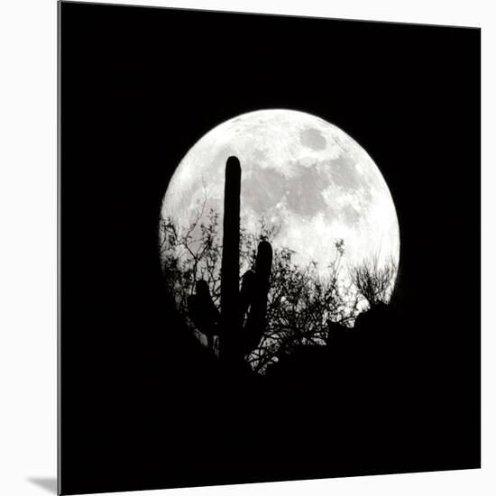 Moonrise in May I-Douglas Taylor-Mounted Photographic Print