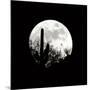 Moonrise in May I-Douglas Taylor-Mounted Photographic Print