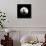 Moonrise in May II-Douglas Taylor-Photographic Print displayed on a wall