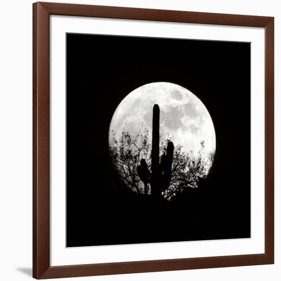 Moonrise in May II-Douglas Taylor-Framed Photographic Print